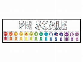 Image result for Light Bulb pH Scale