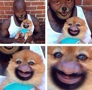 Image result for Funny Face Swap Memes