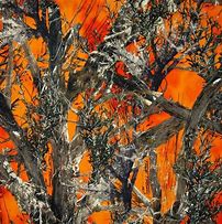 Image result for Realtree Orange Camo