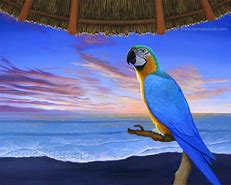 Image result for Blue Parrot Painting