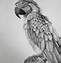 Image result for Hyper Realistic Graphite Drawings