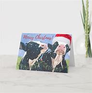 Image result for Dairy Cow Christmas Cards