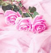 Image result for Pink Fluit Flowers