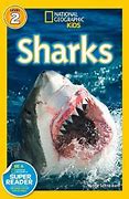 Image result for National Geographic Kids Sharks