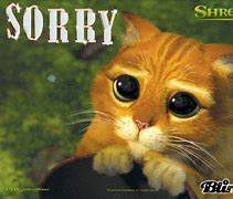 Image result for I'm so Sorry Funny GIF