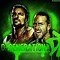 Image result for WWE DX Crowd Flash