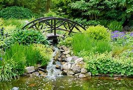 Image result for Bog Plants