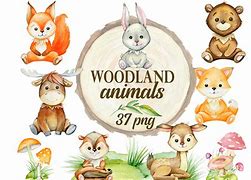 Image result for Woodland Clip Art