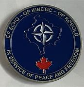 Image result for Nor Force Challenge Coin