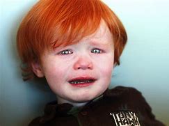 Image result for Talking Ginger Crying