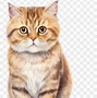 Image result for Mau Cat Cartoon