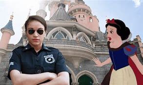 Image result for Disneyland Police