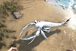 Image result for Eurypterid Ark Survival Evolved