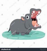 Image result for Hippo Images