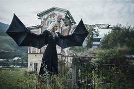 Image result for Vampire Bat Wings Sideways