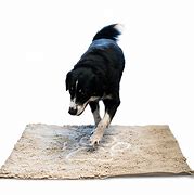 Image result for PA Door Dog Feeding Mat