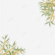 Image result for Watercolour Leaf Border