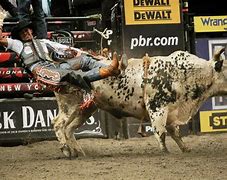 Image result for Lane Frost Drawing