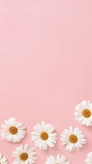 Image result for Aesthetic Pastel Pink Background with Flowers