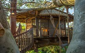 Image result for Swiss Family Robinson Treehouse Disney