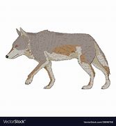 Image result for Wolf Side Rear View