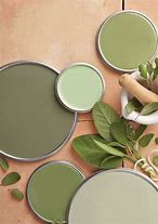 Image result for Sage Green Silk Paint