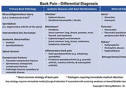 Image result for Back Pain Chart