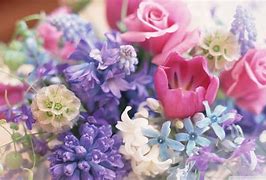 Image result for Flower Bouquet HD Images