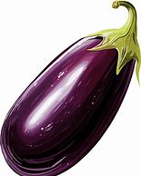 Image result for Eggplant Photo