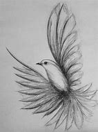 Image result for Pencil Bird Drawings Simple