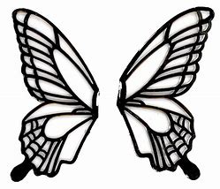 Image result for Butterfly Closed Wings Black and Red