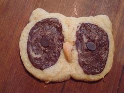 Image result for Fall Owl Cookies