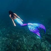 Image result for Mermaid Milaa