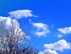 Image result for Bright Sunny Morning