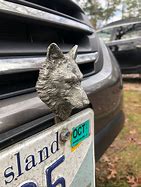 Image result for Best License Plate Names Wolf