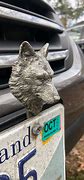 Image result for Best License Plate Names Wolf