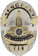 Image result for Dragnet Badge