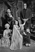 Image result for The Munsters Cast and Crew