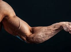 Image result for Ripped Forearms