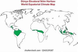 Image result for Equatorial Biome