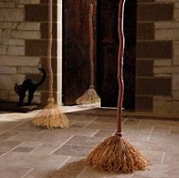 Image result for Motorized Witches Broom