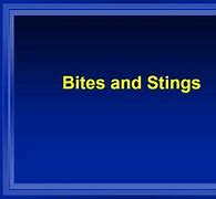 Image result for Bites and Stings Nursing PPT