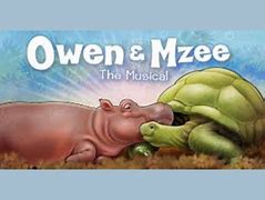 Image result for Owen and Mzee