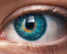 Image result for Macro Eye Photography