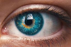 Image result for Macro Eye Photography African American