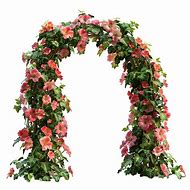 Image result for Flower Arch Transparent