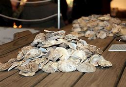 Image result for Lowcountry Oyster Roast Party