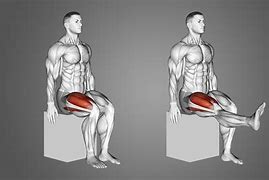 Image result for Left Knee