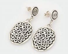 Image result for Big Hole Earrings