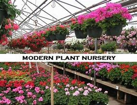 Image result for Modern Nursery